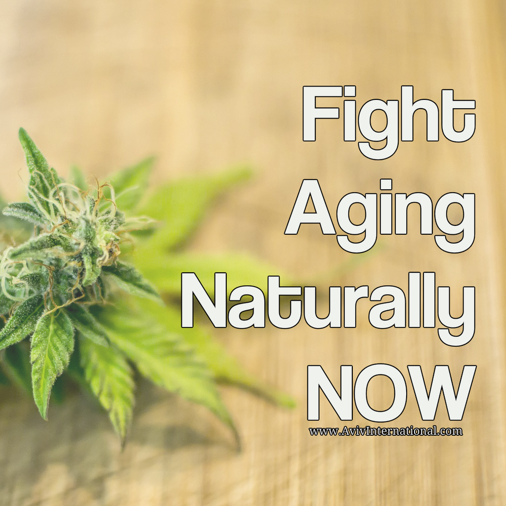 How to Fight Aging Now with Hemp Flower Extract